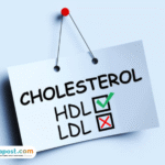 Apa Saja Daftar Makanan yang Baik untuk Menurunkan Kolesterol?