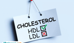Apa Saja Daftar Makanan yang Baik untuk Menurunkan Kolesterol?