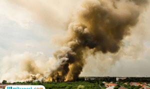 Psikolog Soroti Motif di Balik Terduga Pelaku Ledakan SMAN 72 Jakarta yang Masih Pelajar Psikolog Soroti Motif di Balik Terduga Pelaku Ledakan SMAN 72 Jakarta yang Masih Pelajar