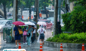 Foto: Ilustrasi (sumber: istock) Foto: Ilustrasi (sumber: istock)