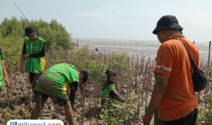 Foto : Sejumlah pelajar diajak menanam Mangrove di tanah timbul pesisir pantai Tluwuk Desa Wedarijaksa Pati, belum lama ini. (Dok. Kelompok Kerja Mangrove Daerah Pati)