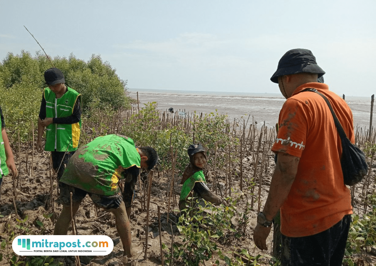 Foto : Sejumlah pelajar diajak menanam Mangrove di tanah timbul pesisir pantai Tluwuk Desa Wedarijaksa Pati, belum lama ini. (Dok. Kelompok Kerja Mangrove Daerah Pati)