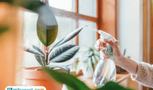 Foto: ilustrasi (sumber: istock) Foto: ilustrasi (sumber: istock)