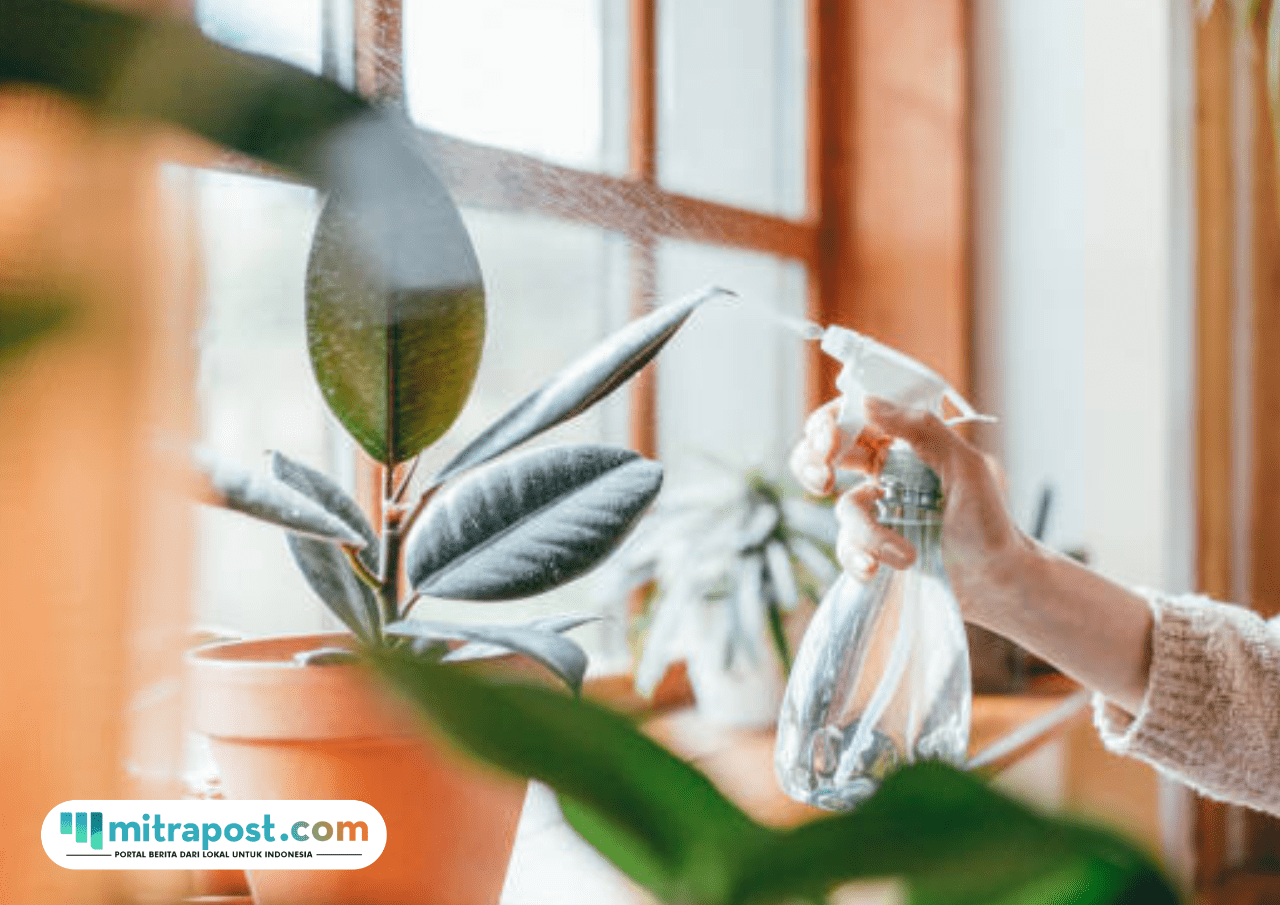 Foto: ilustrasi (sumber: istock)