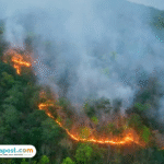 Penjelasan Mengenai Krisis Iklim Dunia dan Dampaknya