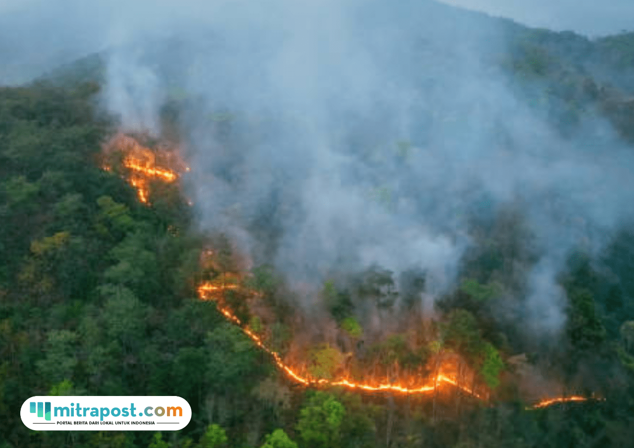 Penjelasan Mengenai Krisis Iklim Dunia dan Dampaknya
