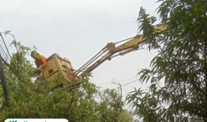 Foto : Personil DLH Kabupaten Pati tengah melakukan pemangkasan pohon di area perkotaan, belum lama ini. (Dok. DLH Kabupaten Pati)