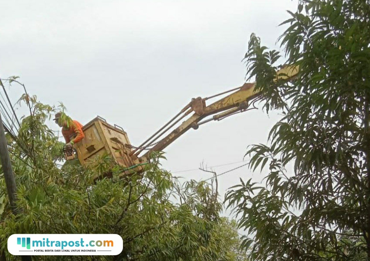 Foto : Personil DLH Kabupaten Pati tengah melakukan pemangkasan pohon di area perkotaan, belum lama ini. (Dok. DLH Kabupaten Pati)