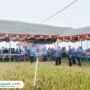 Foto : Program Gerakan Listrik Masuk Sawah berada di Desa Waru Kecamatan Rembang, tengah diuji coba untuk pengairan, belum lama ini. (Sumber. Mitrapost.com/ Ilham)