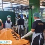 7 Jenazah Korban Tanah Longsor di Banjarnegara Berhasil Diidentifikasi/tribatranews