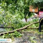 Foto : Sejumlah warga setempat melakukan evakuasi ranting pohon tumbang di Jalan Panglima Sudirman Pati. (Sumber. Mitrapost.com/ Ilham)