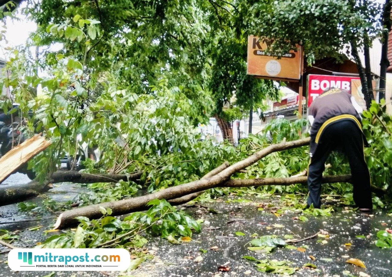Foto : Sejumlah warga setempat melakukan evakuasi ranting pohon tumbang di Jalan Panglima Sudirman Pati. (Sumber. Mitrapost.com/ Ilham)