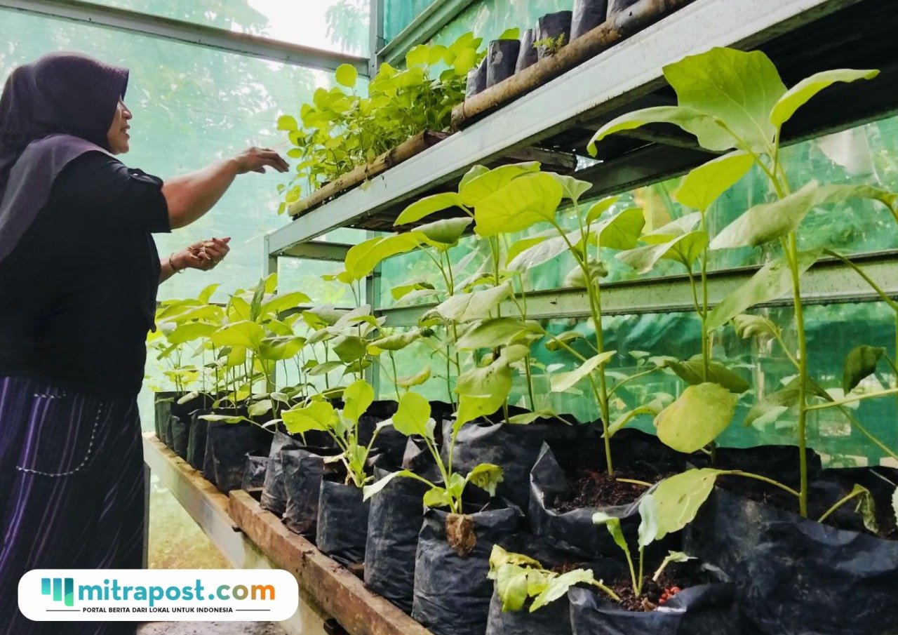 Foto : Kegiatan berkebun KWT Sari Bina Karya Desa Gempolsari Gabus. (Sumber. Mitrapost.com/ Ilham)