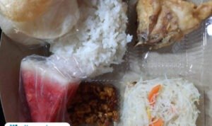 Ilustrasi nasi kotak/istock Ilustrasi nasi kotak/istock