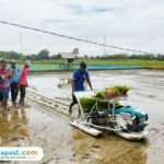 Foto : Sejumlah petani di Desa Dukuhmulyo Kecamatan Jakenan mengikuti pelatihan Rice Transplanter, Rabu (12/11/2025). (Sumber. Mitrapost.com/ Ilham)