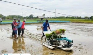 Foto : Sejumlah petani di Desa Dukuhmulyo Kecamatan Jakenan mengikuti pelatihan Rice Transplanter, Rabu (12/11/2025). (Sumber. Mitrapost.com/ Ilham)