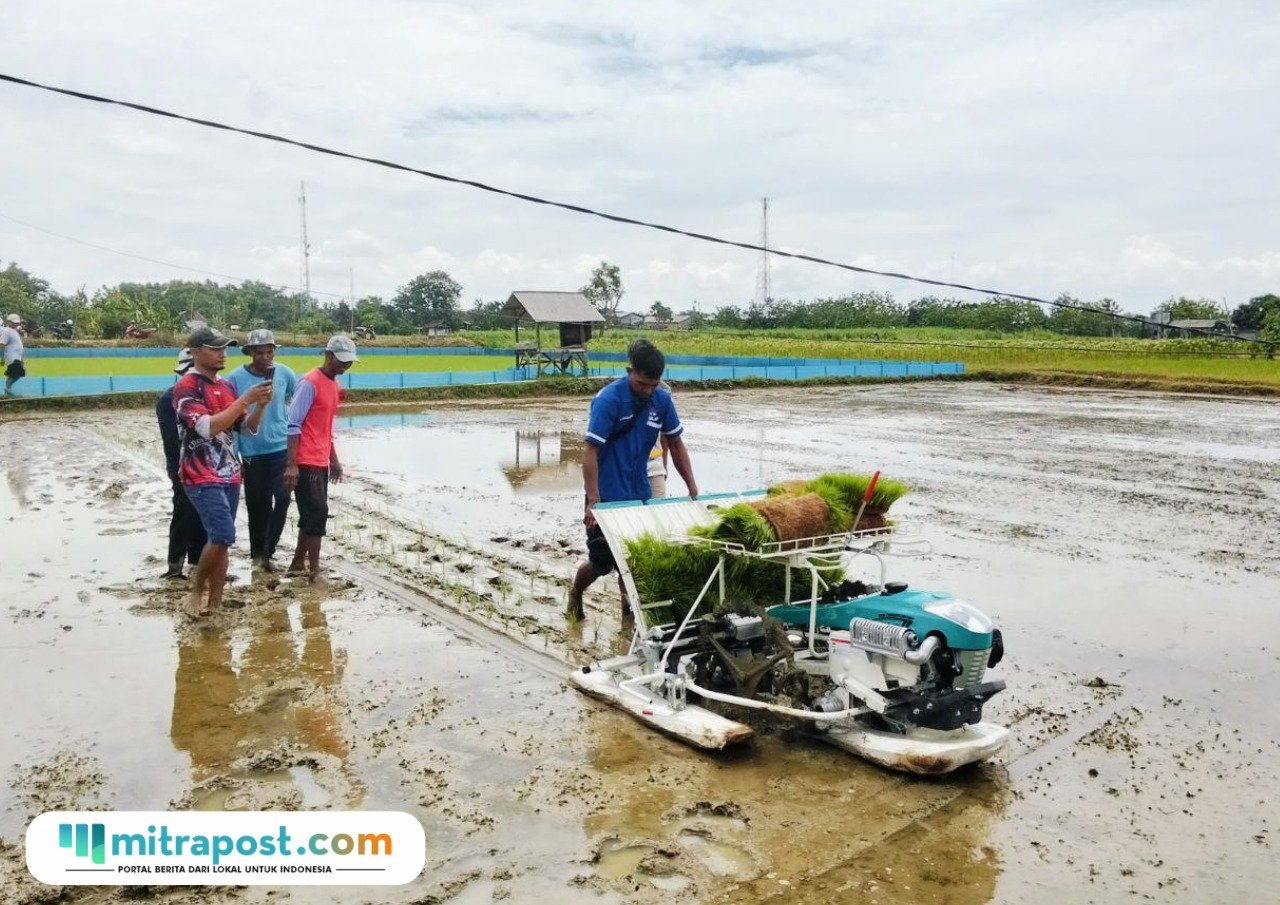 Foto : Sejumlah petani di Desa Dukuhmulyo Kecamatan Jakenan mengikuti pelatihan Rice Transplanter, Rabu (12/11/2025). (Sumber. Mitrapost.com/ Ilham)