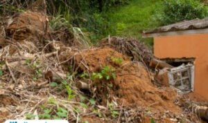 Ilustrasi longsor/istock Ilustrasi longsor/istock