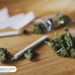 ganja-kering Terbongkar Modus Peredaran Ganja Disamarkan Jadi Paket Delivery