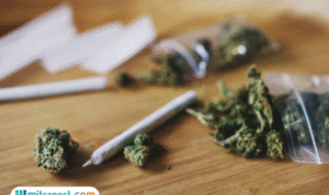 Terbongkar Modus Peredaran Ganja Disamarkan Jadi Paket Delivery