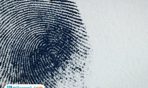 Terungkap Identitas Jasad Misterius di Puncak Gunung Ciremai, Diduga Bukan Pendaki