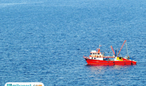 Kapal Asing Vietnam Diduga Ilegal Fishing di Perairan Natuna Utara