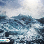 kapal-kandas-kmp-cemerlang-55 Kapal Sempat Terseret Arus Kuat, Seluruh Penumpang KMP Cemerlang 55 Berhasil Dievakuasi