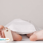 Anak 8 Tahun yang Diserang Gajah di Pekanbaru Meninggal Dunia Hari Ini