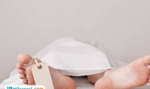 Anak 8 Tahun yang Diserang Gajah di Pekanbaru Meninggal Dunia Hari Ini