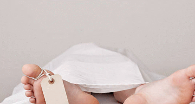 pekanbaru Anak 8 Tahun yang Diserang Gajah di Pekanbaru Meninggal Dunia Hari Ini