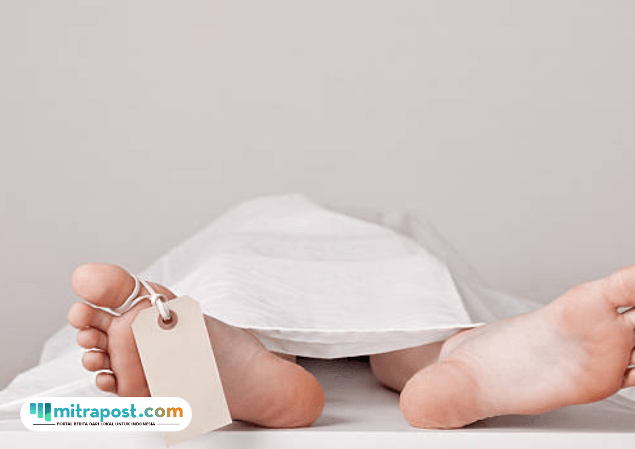 Anak 8 Tahun yang Diserang Gajah di Pekanbaru Meninggal Dunia Hari Ini