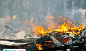 Bukan Terkait Kasus Korupsi, Pembakaran Rumah Hakim PN Medan karena Pencurian