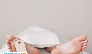 Sempat Dilaporkan Hilang Selama 8 Bulan, Bocah di Pesanggrahan Jaksel Ditemukan Tewas