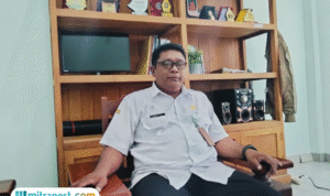 Program Bongkar Ratoon Telah Dijalankan di 2.000 Hektar Luas Tanam Tebu Rembang