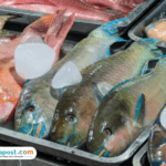 Berikut Tips Mengolah Ikan Segar agar Tidak Meninggalkan Bau Amis Berikut Tips Mengolah Ikan Segar agar Tidak Meninggalkan Bau Amis