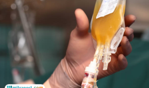 Plasma Darah Ukir Sejarah Baru, Indonesia Bangun Pabrik Plasma Darah Pertama dan Terbesar di ASEAN