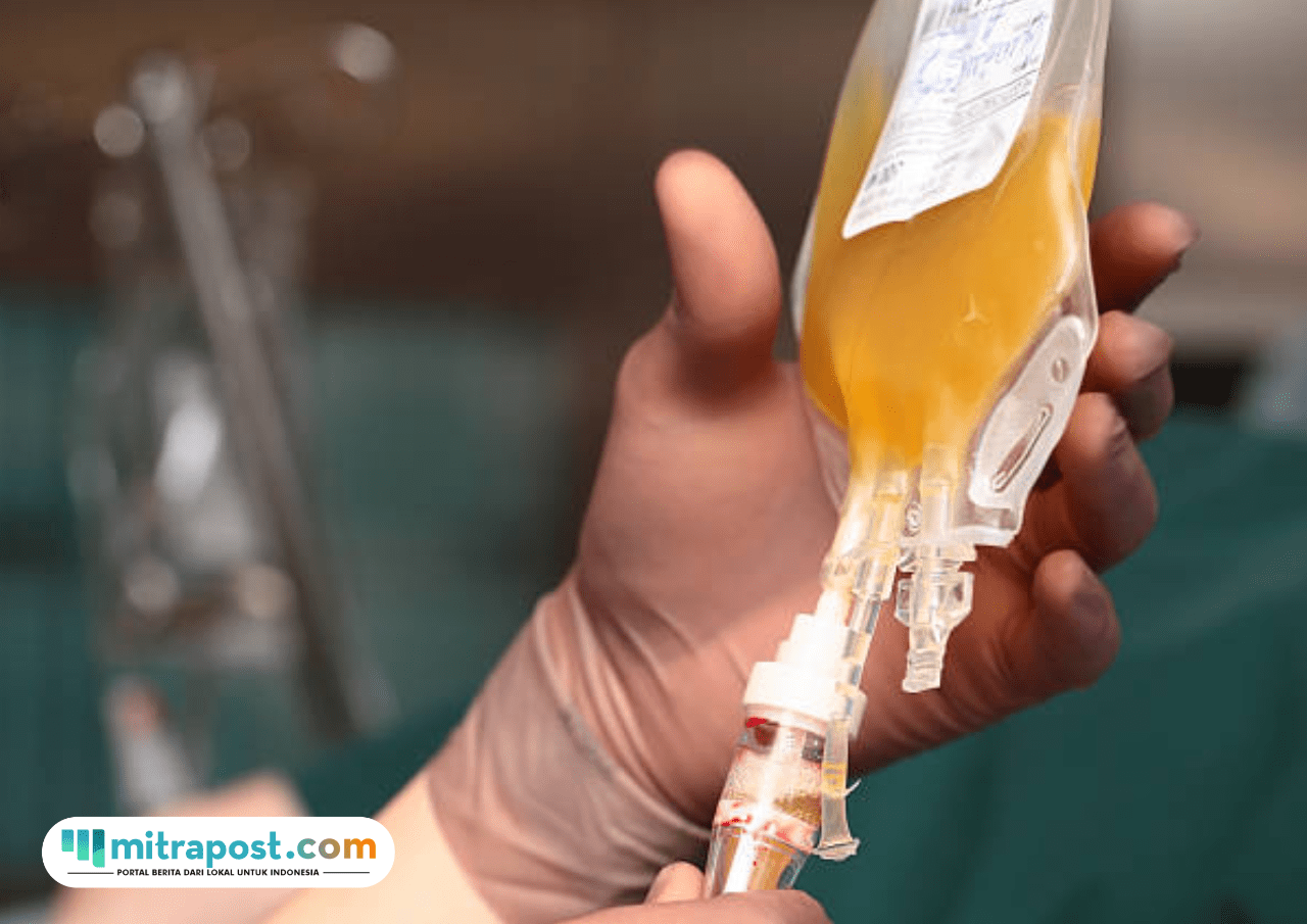 Ukir Sejarah Baru, Indonesia Bangun Pabrik Plasma Darah Pertama dan Terbesar di ASEAN