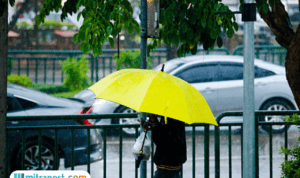 Bagaimana Cara Menjaga Daya Tahan Tubuh Saat Musim Hujan?