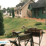 Jawa Tengah Punya Wisata Baru, The Olive Manor Semarang Tawarkan Vibes Eropa Pedesaan