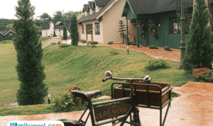 Jawa Tengah Punya Wisata Baru, The Olive Manor Semarang Tawarkan Vibes Eropa Pedesaan