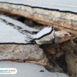 7 dari 10 Sesar Aktif Pemicu Gempa dan Tsunami Asia Tenggara Didominasi Indonesia