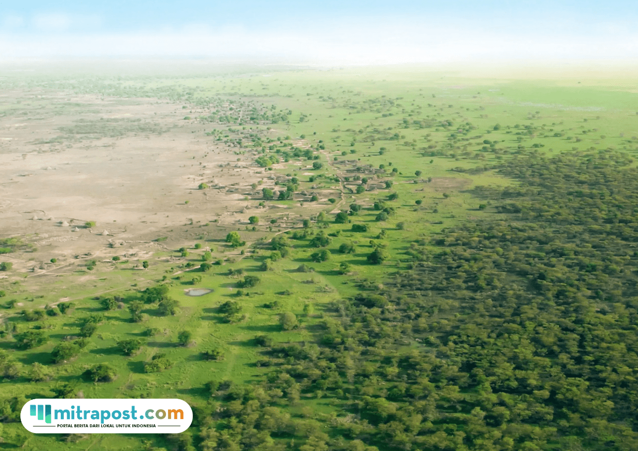 Great Green Wall, Tiongkok Tanam Pohon Sejauh 4.500 Km untuk Perlambat Perluasan Gurun