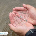 Komitmen Pemkot Semarang untuk Penguatan Pengendalian Kontaminasi Mikroplastik Komitmen Pemkot Semarang untuk Penguatan Pengendalian Kontaminasi Mikroplastik