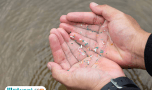 Komitmen Pemkot Semarang untuk Penguatan Pengendalian Kontaminasi Mikroplastik