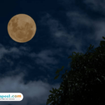 Fenomena Purnama Desember Disebut dengan Cold Moon, Berikut Artinya