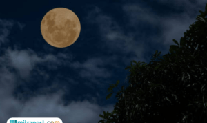 Fenomena Purnama Desember Disebut dengan Cold Moon, Berikut Artinya