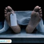 Ilustrasi jasad/istock Kecubung