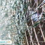 Ilustrasi tabrakan/istock TNI AL