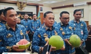 Foto : Bupati, Wakil Bupati dan Kepala Disdagperin Pati tengah memegang jeruk pamelo gembong, belum lama ini. (Sumber. Mitrapost.com/ Ilham)