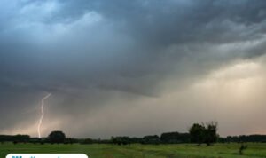 Ilustrasi petir di sawah/istock